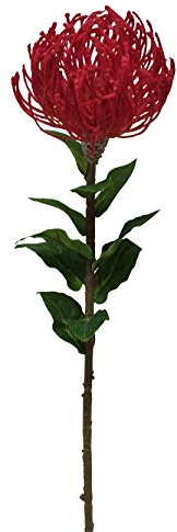 2474U Kunst-Stielblume Nadelkissenblüte Rot ca. 72cm naturgetreue Blüte Seidenblume