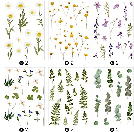 TXErfolg 12 Blatt Scrapbooking Sticker Grüne Blätter Aufkleber PET Pflanzen Blumen Sticker Set Selbstklebend Wasserdicht Blatt Aufkleber für Tagebuch Fotoalbum DIY Handwerk Notizbuch Kalender