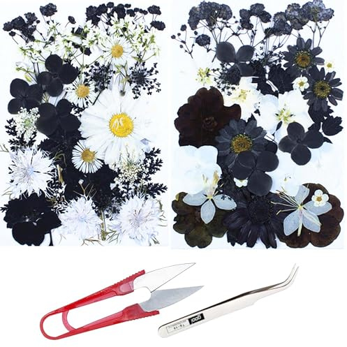 Cayway 2 Packung NatüRliche Getrocknete Gepresste Blumen für Harz, Schwarz DIY Getrocknete Gepresste Blätter DIY Gepresste Blumen für Kunst Basteln DIY Harz Scrapbooking Handwerk, Stil A