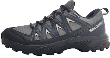 Salomon X BRAZE GORE-TEX herr, Magnet / Black / Gray Green, 46 EU