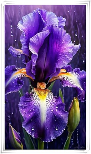 Bulbo di Iris | Elegante, Tondo, Denso, Resistente, Adattabile, Naturale-6 bulbi