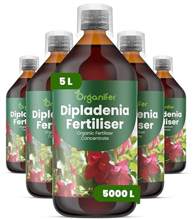 Concime Liquido - 5x1L - Per Dipladénia - NPK 2-1-8 | Per Dipladénia - Cicli Floreali Duraturi - Organifer