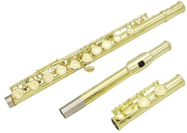 Flauto Flauto d'oro 16 fori aperti chiusi Chiave C Strumento musicale da concerto per flauto traverso professionale
