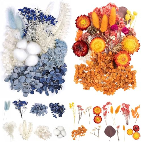 Gepresste Blumen, 22 Stück Trockenblumen Basteln Bunt Trockenblumen zum Basteln Klein Schön Pampasgras Klein für DIY Hochzeitsdeko Wohnkultur Scrapbooking Dekoration