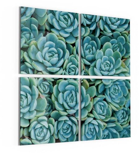 DEQORI Cuadros de cristal auténtico, diseño de simetría suculenta, cuadradas, 4 piezas, 4 x 50 x 50 cm, decoración grande XXL, para salón, dormitorio, pasillo y cocina