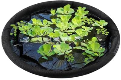 Fierudeng Barrière flottante pour aquarium - Île à fleurs flottante - Filet de bassin rond pour aquarium en plein air - Serre de jardin - Granière de canard