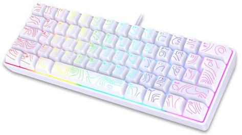 YUEHISY 60% Speltangentbord, 61 Nycklar Kabelanslutet Kompakt Tangentbord med RGB-bakgrundsbelysning, Anti Ghosting, Högt Svar, för Spelskrivning (WHITE)