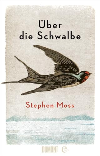 Über die Schwalbe