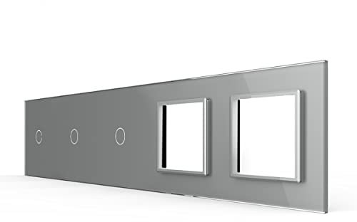 Livolo VL-C7-C1/C2/C2/SR/SR-15 - Interruptor táctil de luz (5 orificios), color gris