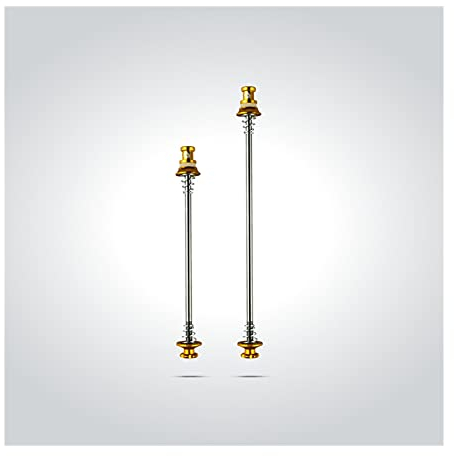 KFXYSM Schnellspanner Fahrrad,Steckachse Fahrrad Fahrrad Quick Release-Spieße 36g / Pair Ultraleichter Titan-Spieß-Hebel-Radfahren Ti-Achs-Rad-Hub für Rennrad(Gold)