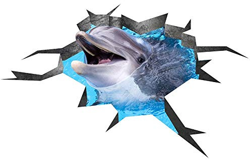 Decords Adesivi per Pavimenti - Adesivo per Pavimenti in Vinile - Adesivi 3D per Pavimenti - Adesivo per i Delfini - Adesivo per i Delfini - Decalcomanie 3D - Adesivi per Piastrelle