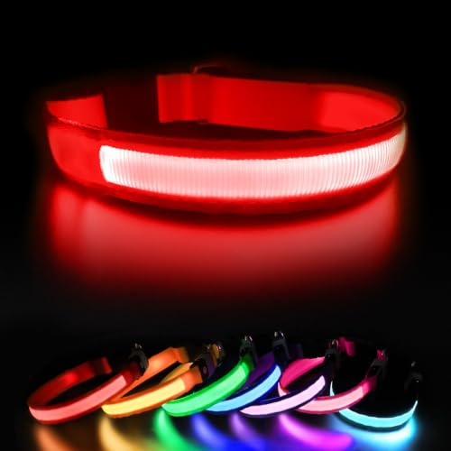 Leuchthalsband Hund, Hundehalsband Leuchtend Aufladbar, LED Halsband für Hunde Leuchtband Einstellbar Wasserdicht mit 3 Lichtmodi Sicherheit für Kleine Mittlere Große Hunde, Rot M | LED hundehalsband 3 Blinkmodi, Wasserdicht,Verstellbar, Leicht, für Hund 11-30kg, Rot M