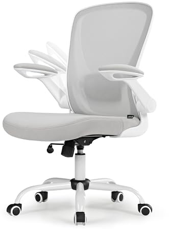 EUREKA ERGONOMIC Bürostuhl Ergonomisch Schreibtischstuhl aus Mesh mit Klappbaren Armlehnen Computerstuhl mit Verstellbarer Lendenwirbelstütze Chefsessel Bürostuhl
