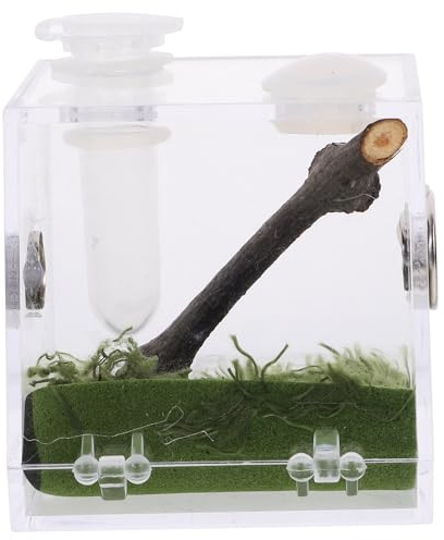 VILLCASE Transparente Acryl Spinnenbox für Wolfsspinne mit Verschleißfestem Material und Beobachtungsmöglichkeit für Terrarien und Zucht