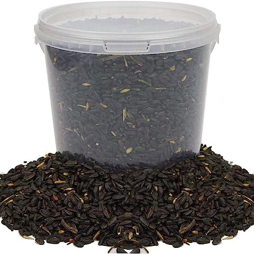 Graines de Tournesol Noir BusyBeaks - Nourriture Riche en Huile pour Oiseaux Sauvages de Jardin occupés (10L)
