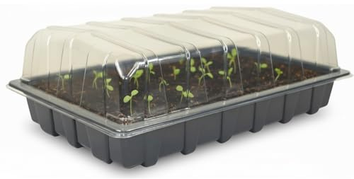 Nutley's 10 x Clear Plastic Full Size Seed Propagator Lid and Seed Tray With Holes