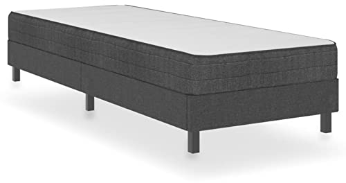 Rantry Boxspringbett Boxspring Bettgestell Bettrahmen Bettgestell Einzelbett | Doppelbett Rahmenbettgestell Jugendbett Gästebett Grau Stoff 100x200 cm Bett für Schlafzimmer