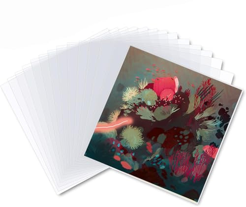 Firavggu 50 Pz. Buste Vinili Esterne 10 Pollici, Vinili Trasparenti per Singoli 10” LP Dischi Buste per Vinili Custodia Vinili Cover,Buste Vinile Protezione Polipropilene Vinile Copertine