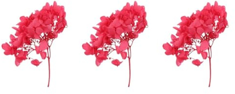 TOPBATHY Material De Flores Secas De Hortensia Inmortal para Manualidades Decoración Única para Hogar y Eventos