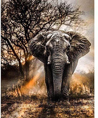 5D Diamant Painting Kits Full Drill, Elefant Kristall Strass Diamant Stickerei Kunst Bilder, DIY Kunst Bastelbedarf für Erwachsene, Kinder, Zuhause, Wanddekoration - 30 * 40 cm