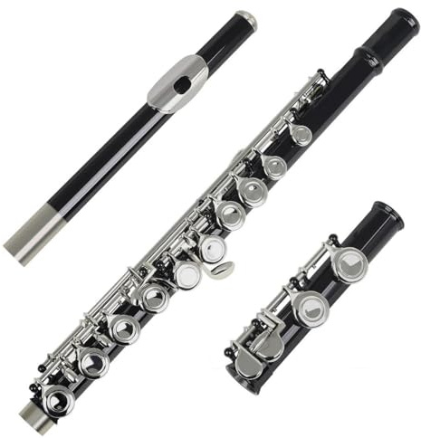 flöte 16 Geschlossene Offene Löcher C-Taste Professionelles Querflöten-Musikinstrument Mit Box Bunte Stockhandschuhe (Color : Black)