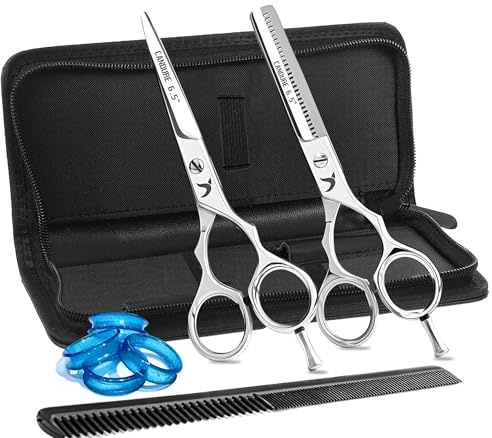 Candure Ciseaux Coiffure Professionnel Set Coupe de Cheveux Amincissement Acier Inoxydable Désépaissir & Sculpteur Effiler Peigne de Coiffure pour Hommes, Femmes et Enfants 5.5 (Argent - 6,5)
