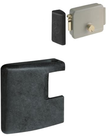 Assa Abloy Corni Bocchetta intelligente compatibile con serratura per porte in ferro MULTIPLA N0A50000000, Grigio, reversibile