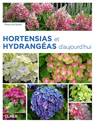 Hortensias et hydrangéas d'aujourd'hui