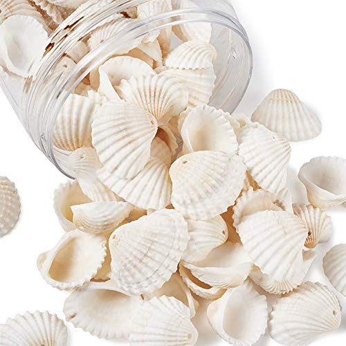 PandaHall 300g Weiße Natürliche Muschelperlen, Cowrie Muschelperlen, Ozean Strand Muscheln, Charms Perle mit 1,5 ~ 1,6 mm Loch für Aquarium Vase Füller Dekor Windspiele machen