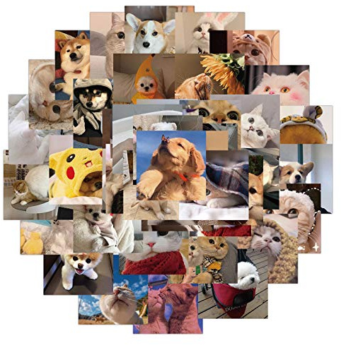 48 Uds Pegatinas de gatos y perros vinilo bonitas para botellas de agua, vaso, equipaje, monopatín, parachoques, taza para álbum de recortes, regalo adhesivo para niños, adolescentes y adultos