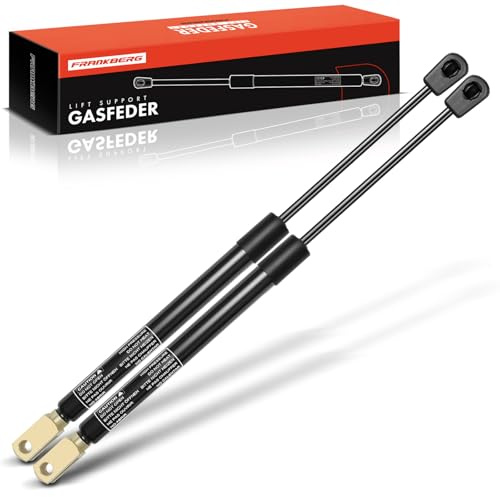 Frankberg 2x Gasfeder Dämpfer Heckklappen 90450BC10A | Kompatibel mit Micra C+C III K12