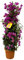 Floreale da giardino – Bouganvillea piramide – 90 cm – Ø 21 cm