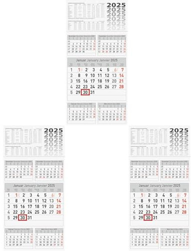 BRUNNEN 5-Monatskalender 2025 | 300×585 mm (Packung mit 3)