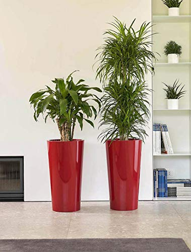 Euro3plast 2785.T6 Pflanztopf mit Einsatz Tuit Durchmesser 33 cm, rot