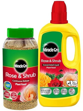 Miracle Grow Rose Feed Fertiliser - Bundle of Rose & Shrub 900g Continuous Release Plant Feed Granules & 800ml Concentrated Liquid Plant Food. Garden Plants Fertilizer for Roses with Topline Card