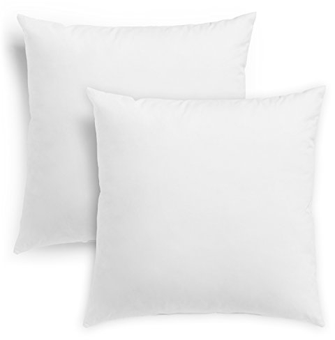 sleepling 2er Set Daunenkissen Federkissen 40x40 cm, Kopfkissen, 100% Daunen & Federn, Kissen 40 x 40 cm, Bezug 100% Baumwolle, waschbar, Made in EU, Oeko-Tex