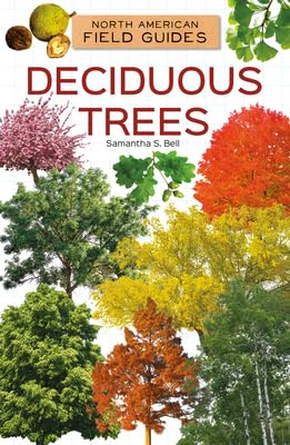 Deciduous Trees (North American Field Guides)