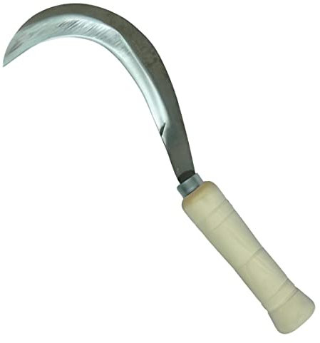 PEGANE Tranchet Faucille canarien avec Manche en Bois Coloris Naturel - 22 cm