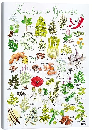 Posterlounge Kräuter & Gewürze Leinwandbild | 50 x 70 cm von Andreas Hirsch Wandbilder Wanddeko