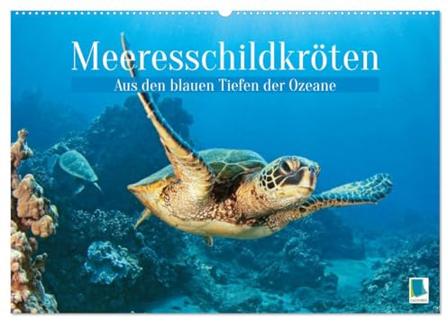 Meeresschildkröten: Aus den blauen Tiefen der Ozeane (Wandkalender 2026 DIN A2 quer), CALVENDO Monatskalender: Meeresschildkröten: Freiheit in den Tiefen der Meere (CALVENDO Tiere)