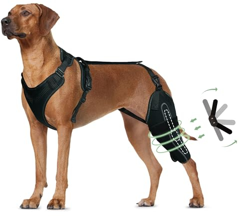 LISPOO Hunde-Kniebandage für gerissene Hinterbeine, Hundebein-Bandagen für das hintere Bein zur Unterstützung der Kniescheibe, Kreuzband, Kniebandage für Hunde, warmes Gelenk und Linderung von