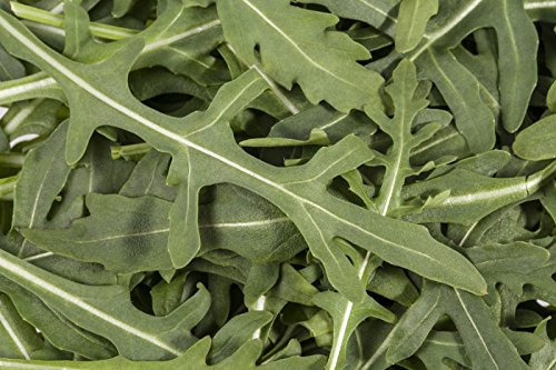 Insalata - Rucola Min. 50 Seme