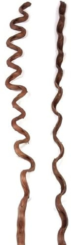 NaDeco Sapla Liane Braun, Länge ca. 160cm, Breite ca. 3-5cm | Deko Liane | Monkey Ladder | Deko Lianen | Deko Wurzel | Luftwurzel | Dekoholz | Holzdeko | Lianendeko | Holz Deko | Dekowurzel