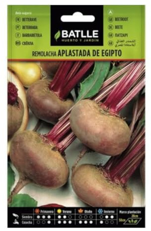Semillas de Remolacha de Mesa Aplastada de Egipto Batlle