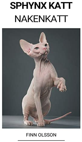 Sphynx Katt (Nakenkatt)