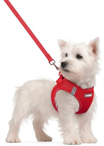rabbitgoo Harnais Chien Petite Taille avec Laisse Réfléchissant, Harnais Chiot en Maille Souple, Gilet Réglable Facile à Mettre, Arnet pour Chien Petit et Moyen pour Marcher Courir, Rouge S