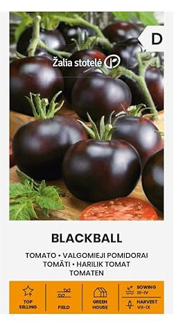Zalia stotele | Semillas de TOMATE - BLACKBALL | Semillas de Hortalizas | Semillas Tomate | semillas de plantas | semillas de jardín | 1 paquete