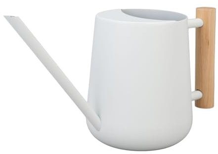 Gießkanne für Innenpflanzen, Rostfrei, Langer Auslauf, Wasserkrug für Zimmerpflanzen, Garten, Holzgriff, Geeignet für Alle Altersgruppen, Kleine Gießkanne aus Edelstahl (WHITE)