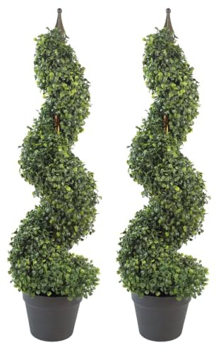 Leaf Design UK Buxus Buchsbaum-Spiralbäume
