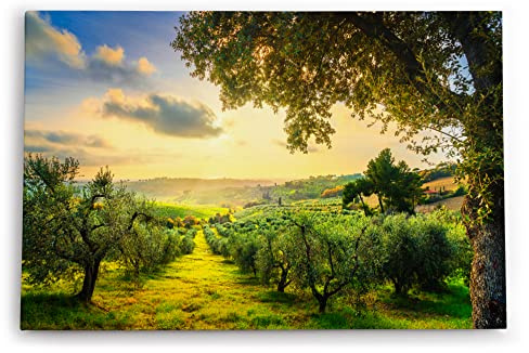 Paul Sinus Wandbild 120x80cm Italien Toskana Landschaft Bäume Grün Sonnenuntergang